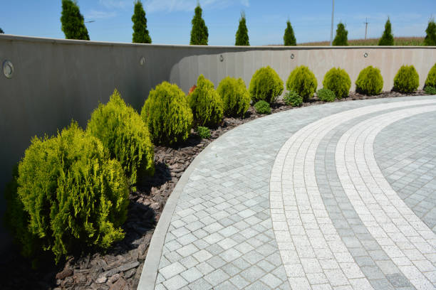 Reasons to Select Us for Your Driveway Paving Requirements in Kingsville, MD